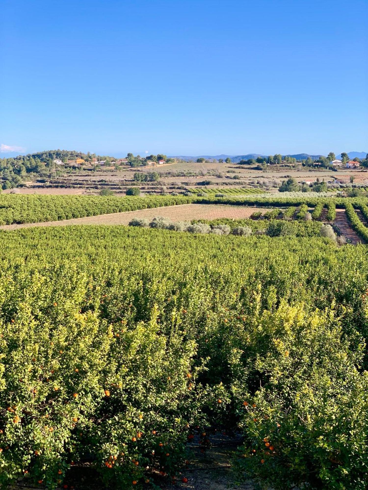 Finca Malata Turís Eksteriør bilde